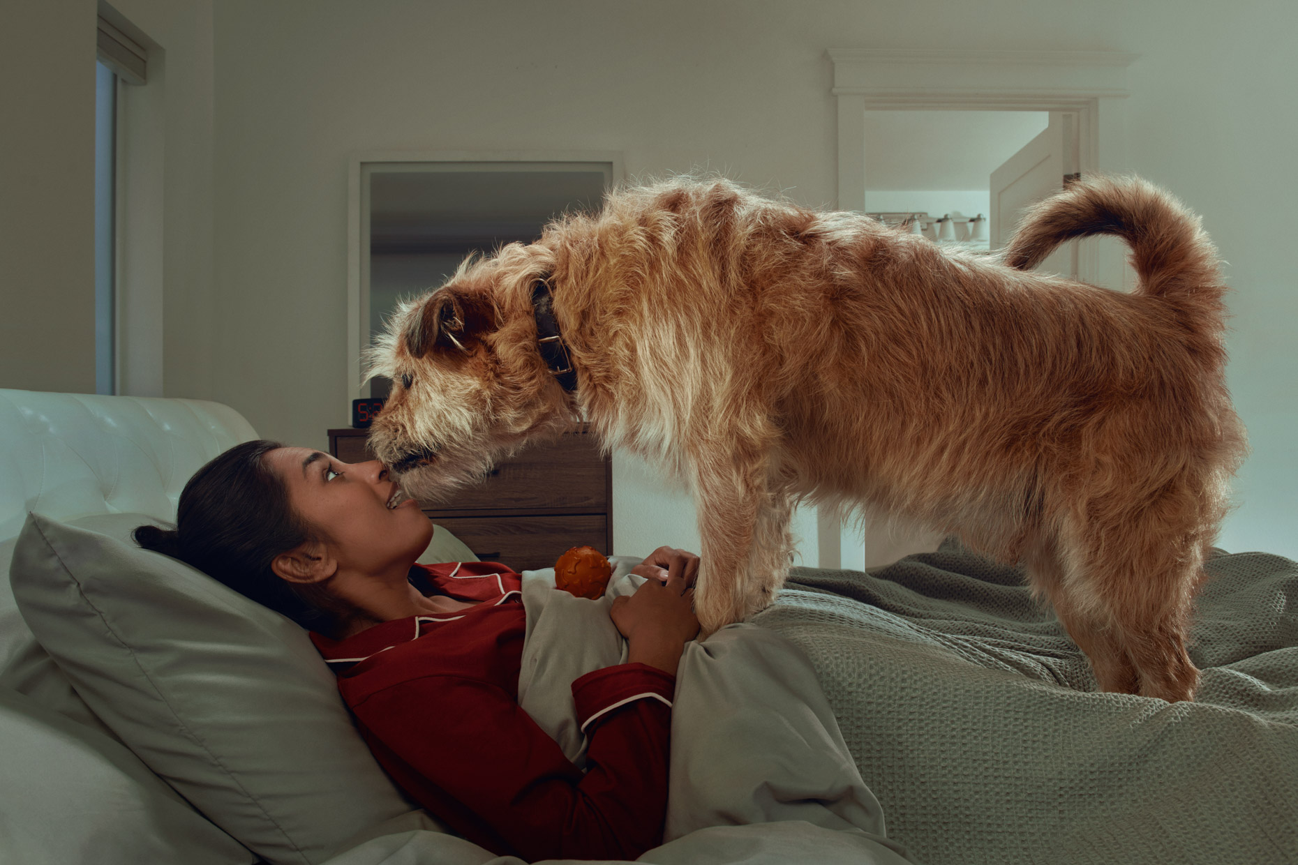 Kremer Johnson - Advertising Photographer - Dogs - Humor - SurityPro